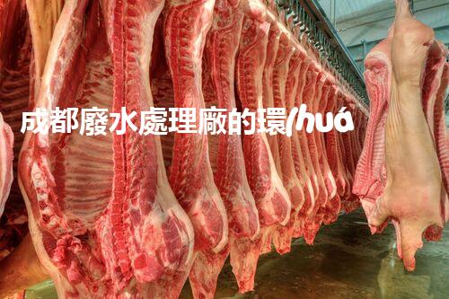 成都廢水處理廠的環(huán)保奇觀：揭秘水質(zhì)凈化的背后？
